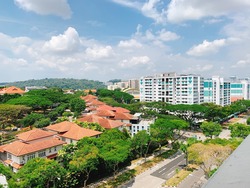 Blk 219 Petir Road (Bukit Panjang), HDB 3 Rooms #199043782